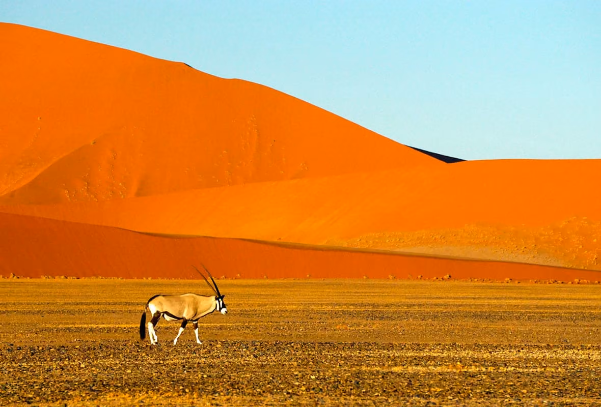 Assurance voyage Namibie