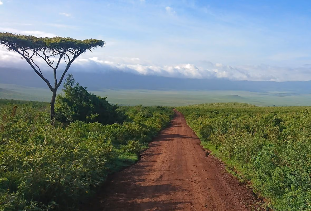 Visa Tanzanie